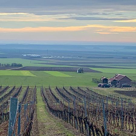 Villa Kuca Za Odmor Kiss-Karanac,Baranja Esterno foto