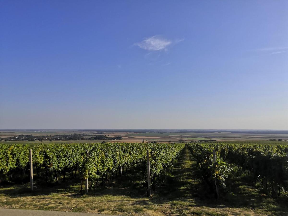 Villa Kuca Za Odmor Kiss-Karanac,Baranja Esterno foto
