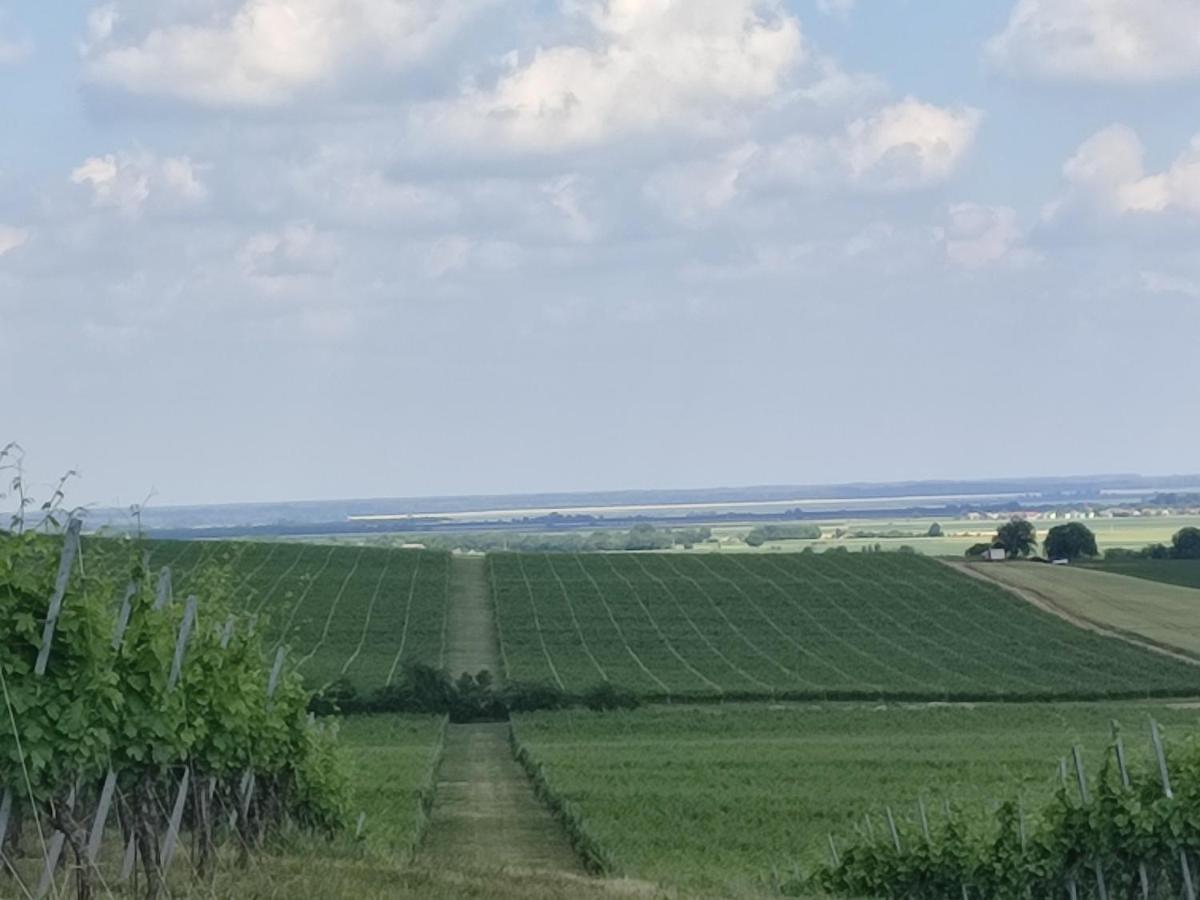 Villa Kuca Za Odmor Kiss-Karanac,Baranja Esterno foto