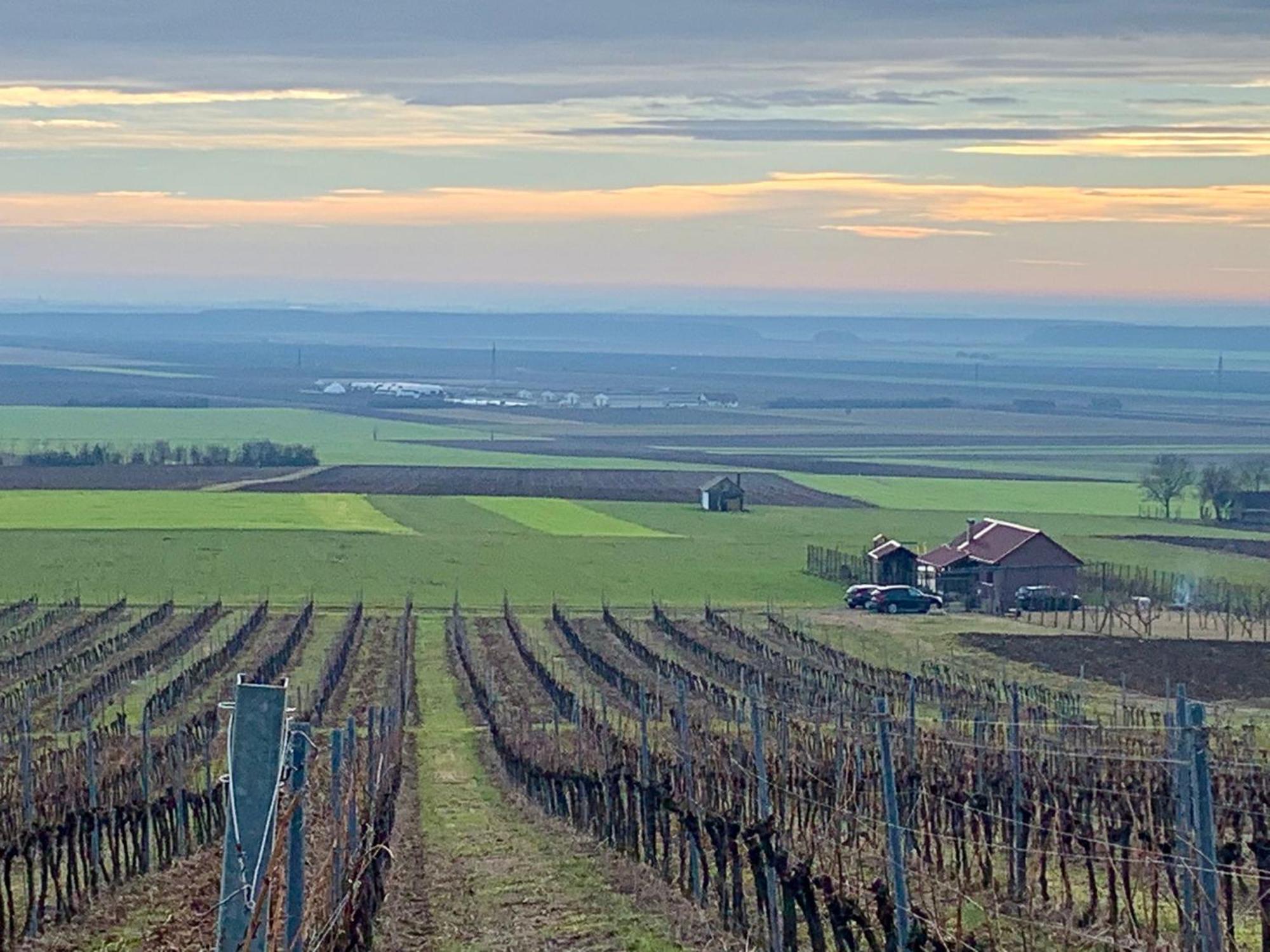 Villa Kuca Za Odmor Kiss-Karanac,Baranja Esterno foto